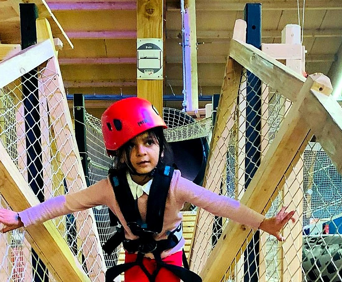 Brave on the net bridge