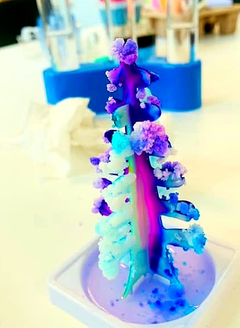 Growing a crystal tree
