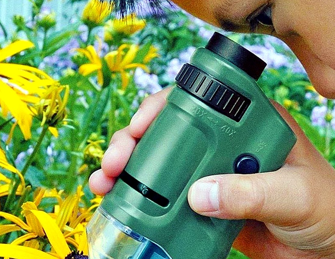 Pocket microscope in the garden