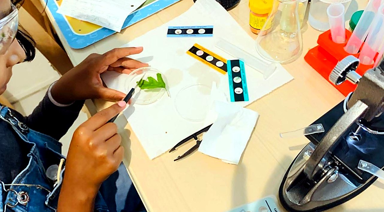 Microscope and moon phases