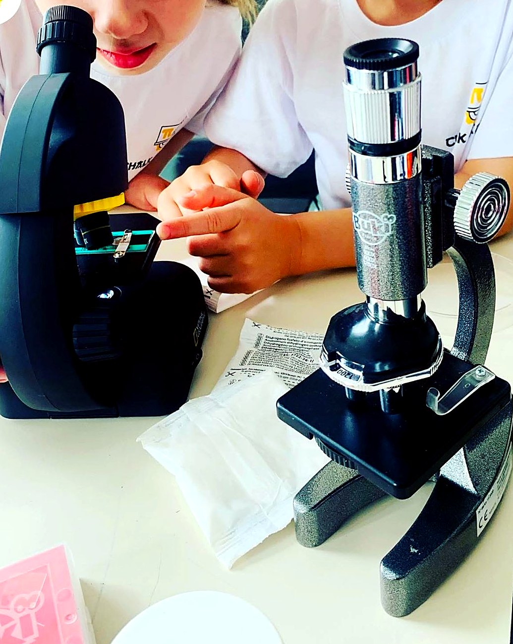 At the microscope