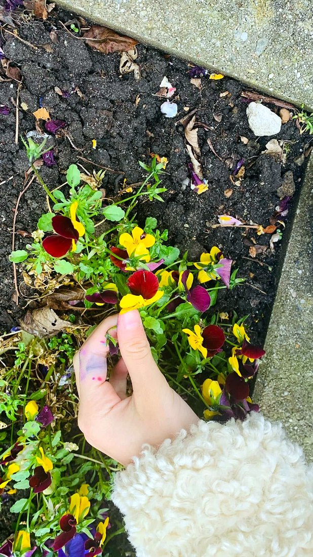 Spring flowers