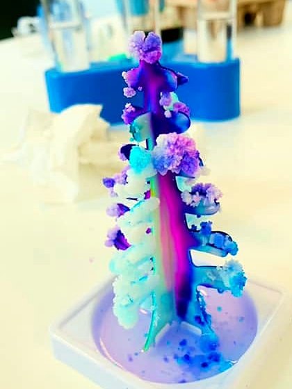 Growing a crystal tree