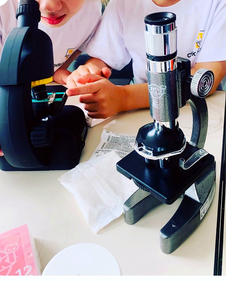At the microscope